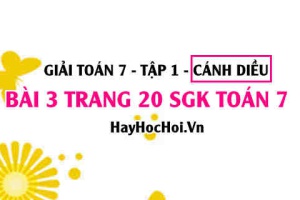 Giải bài 3 trang 20 Toán 7 Tập 1 SGK Cánh Diều